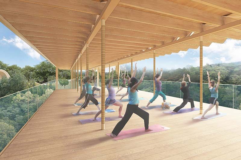 zen seinei lớp học yoga zen seinei lớp học yoga